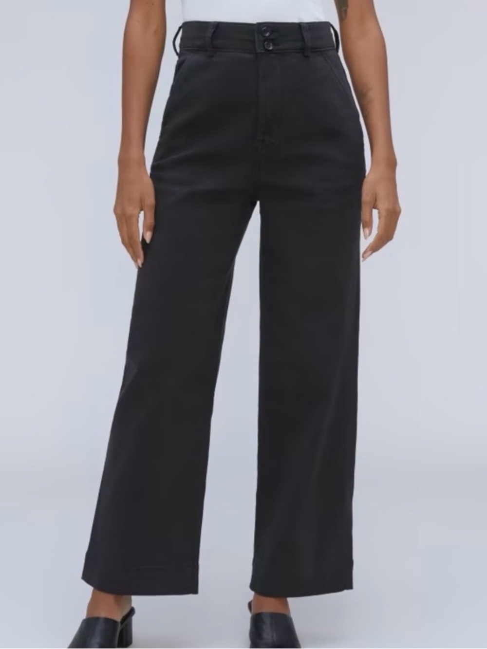 NWT Everlane Women's Organic Cotton Bangladesh Wide Leg Pants In Black Size 10
